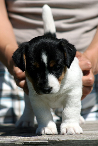 100628_rico etu.jpg - Rico